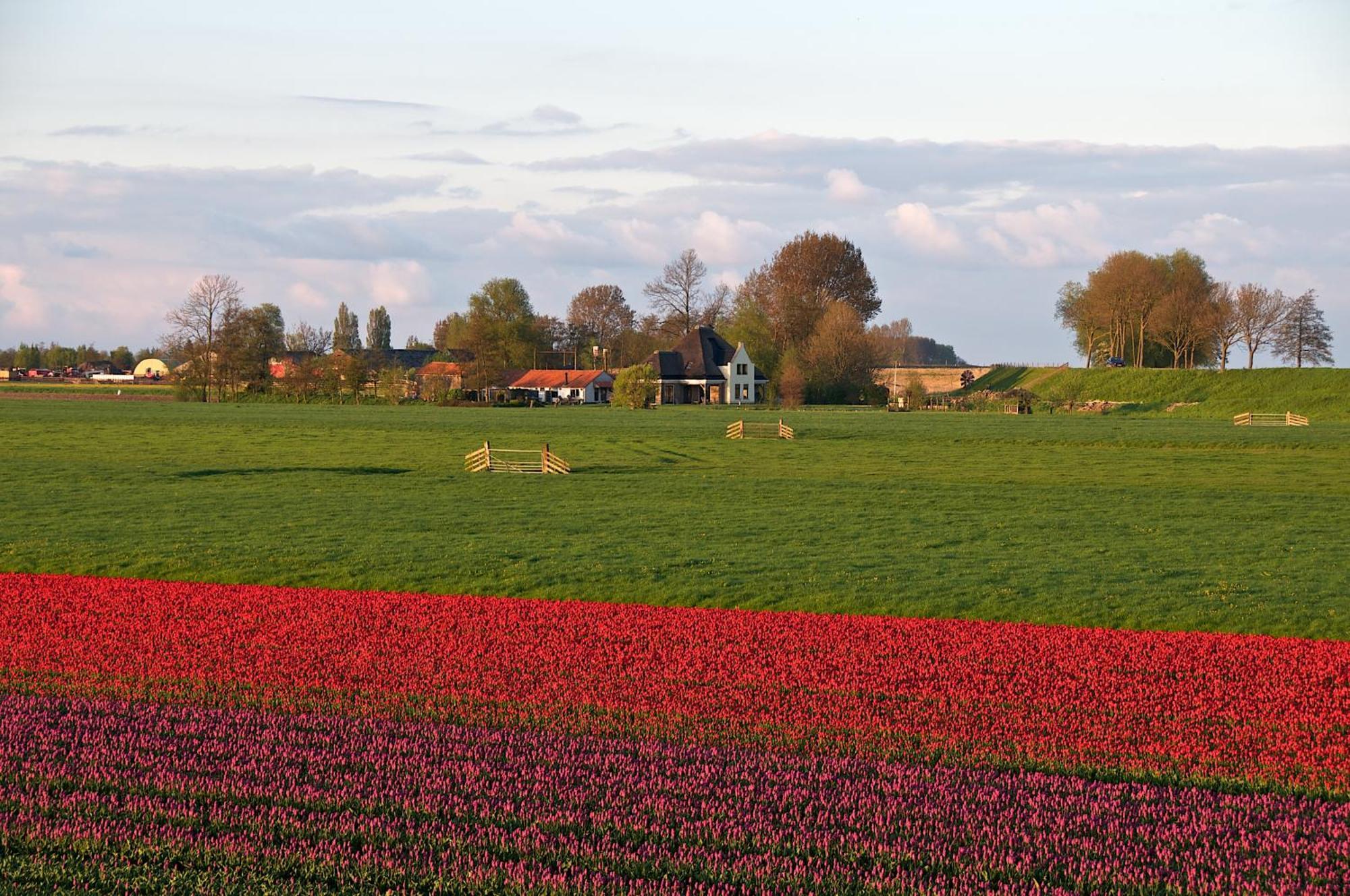 Hotelhuisjes Oosterleek エクステリア 写真